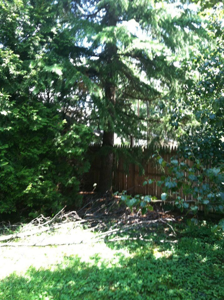 photo 427042_10151016923582285_1353086326_n.jpg